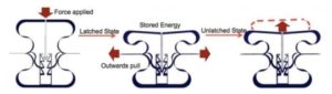 Scientists design material that can store energy like an eagle’s grip — ScienceDaily