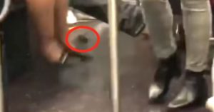 Subway Mouse Panic Shows New Yorkers Aren’t Nearly As Tough As They Think